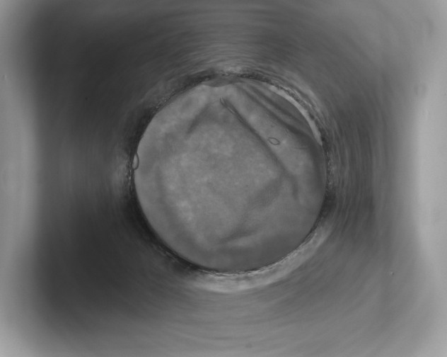 X0000100920029200807221125
