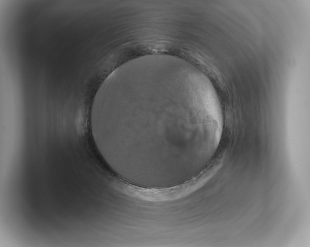 X0000100920030200807221125
