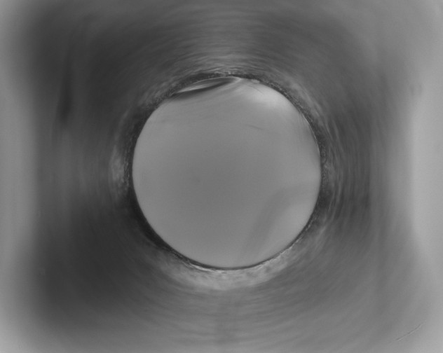 X0000100920031200807221125