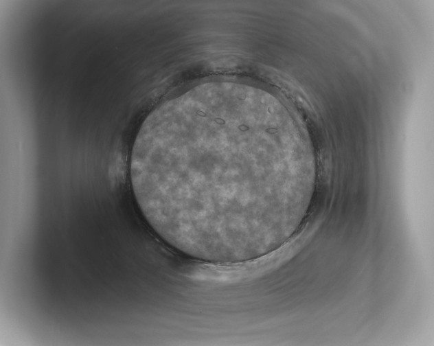 X0000100920033200807221125
