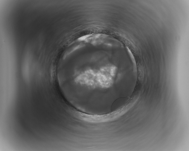 X0000100920034200807221125