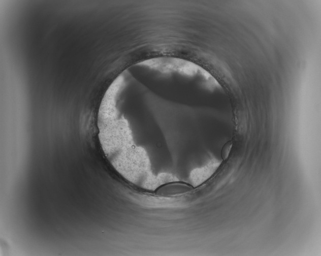 X0000100920036200807221125