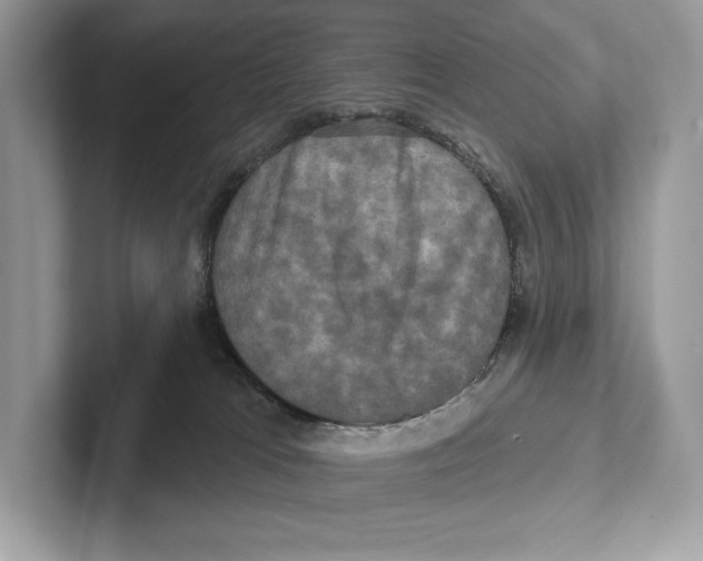X0000100920037200807221125