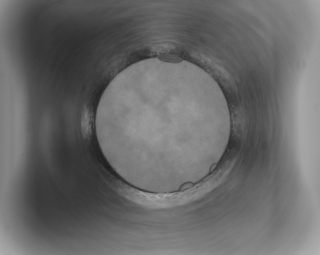 X0000100920038200807221125