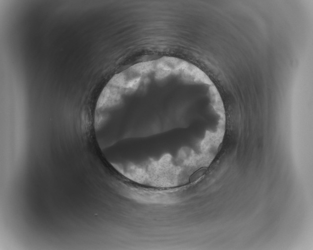 X0000100920040200807221125