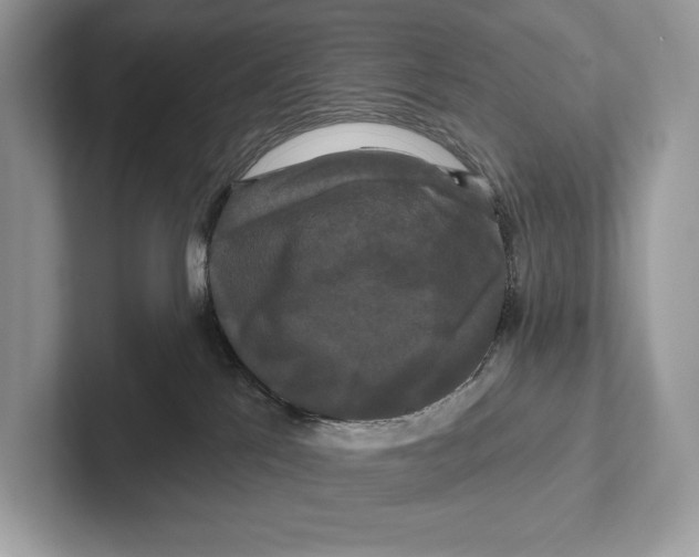 X0000100920041200807221125