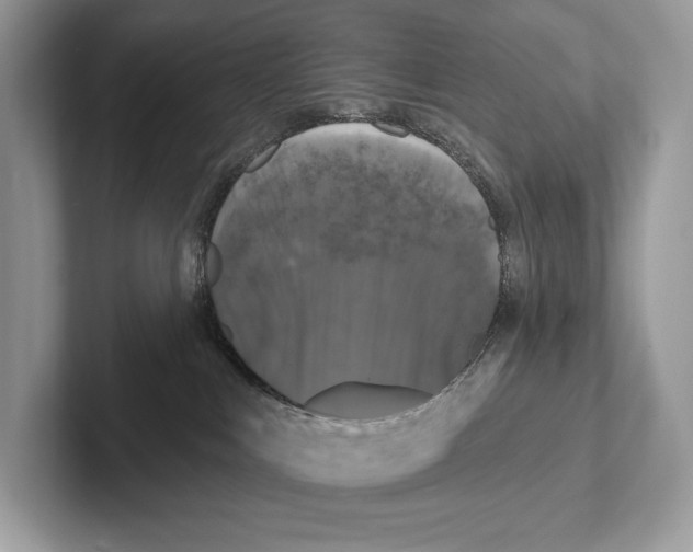 X0000100920043200807221125