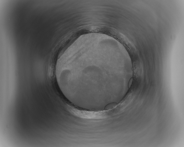 X0000100920044200807221125