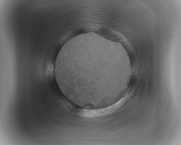 X0000100920045200807221125