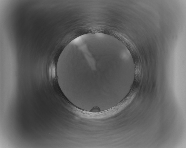 X0000100920046200807221125