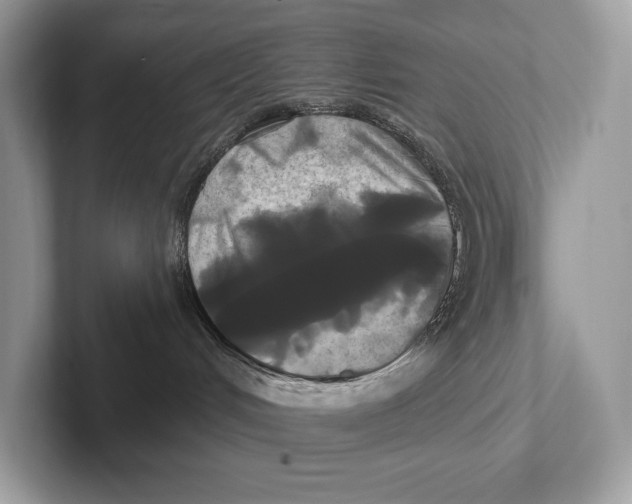 X0000100920048200807221125