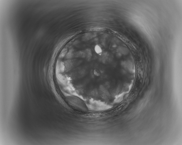 X0000100920049200807221124