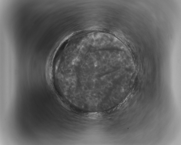 X0000100920050200807221124