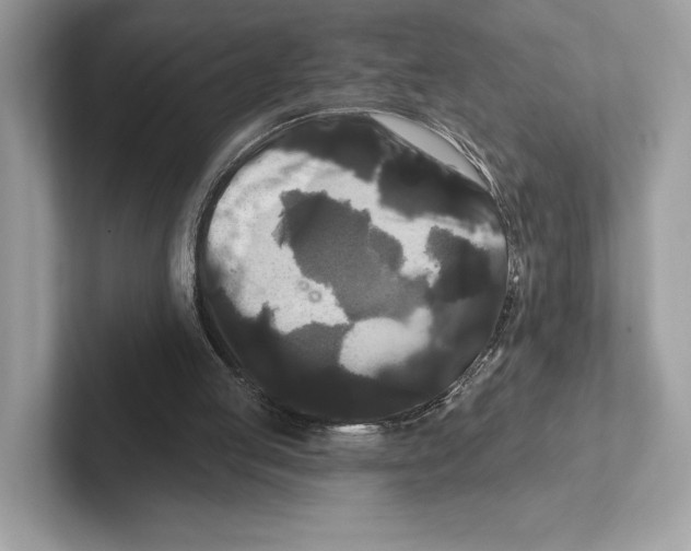 X0000100920053200807221124
