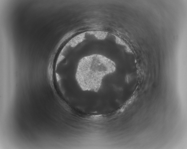 X0000100920054200807221124