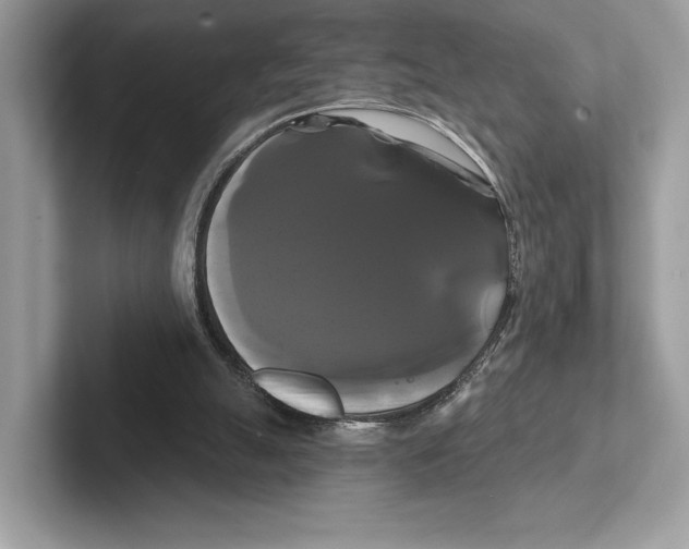 X0000100920055200807221124