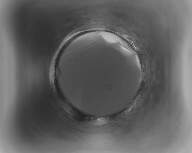X0000100920056200807221124