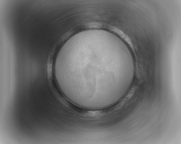 X0000100920057200807221125