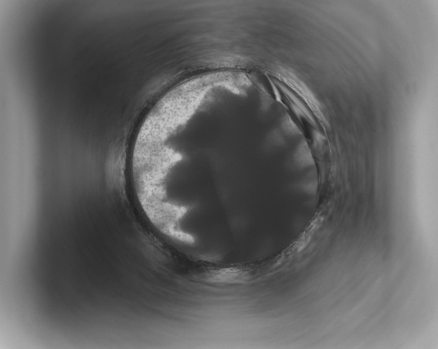 X0000100920058200807221125