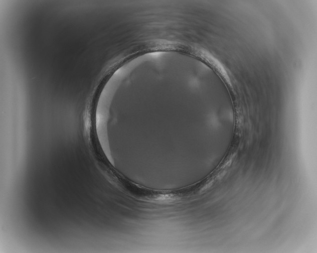 X0000100920059200807221125