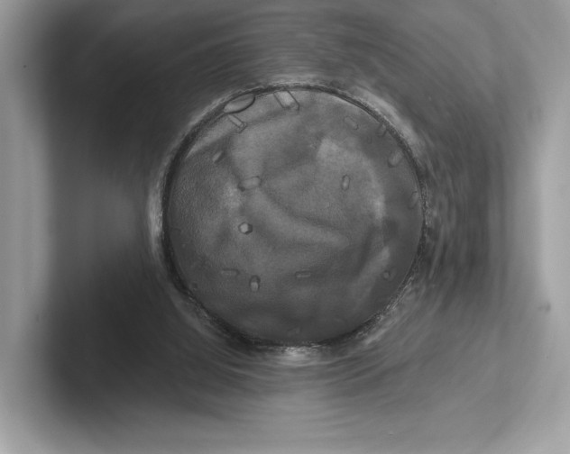 X0000100920060200807221125