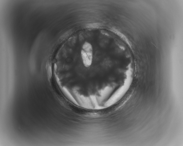 X0000100920061200807221125