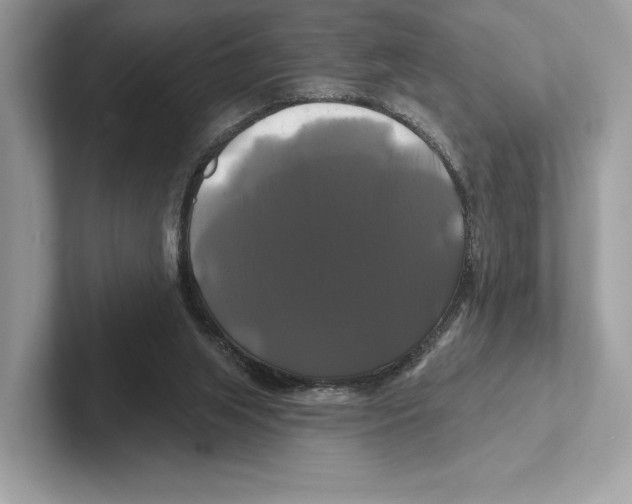 X0000100920063200807221125