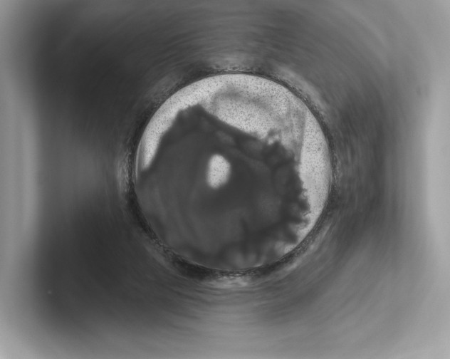 X0000100920065200807221125