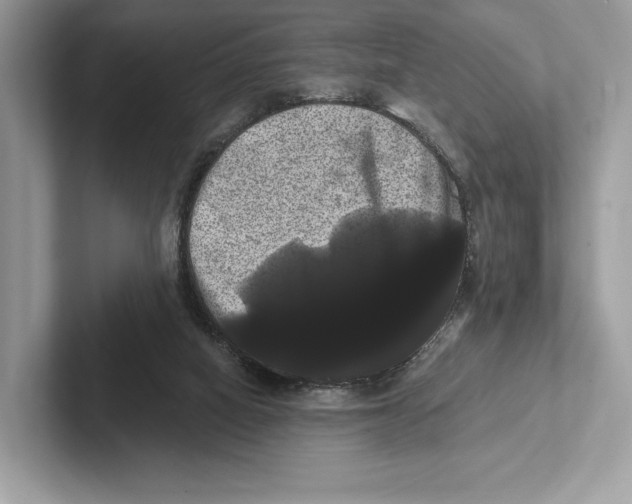 X0000100920066200807221125
