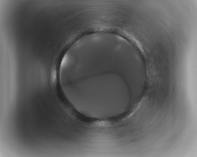 X0000100920067200807221125