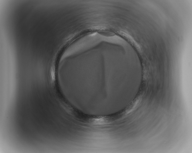 X0000100920068200807221125