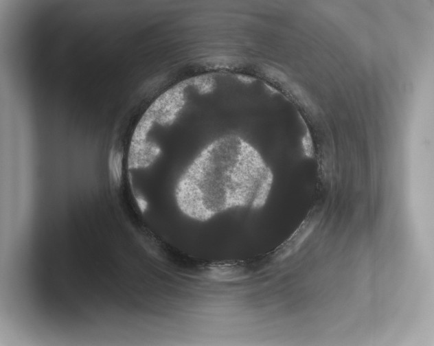 X0000100920070200807221125