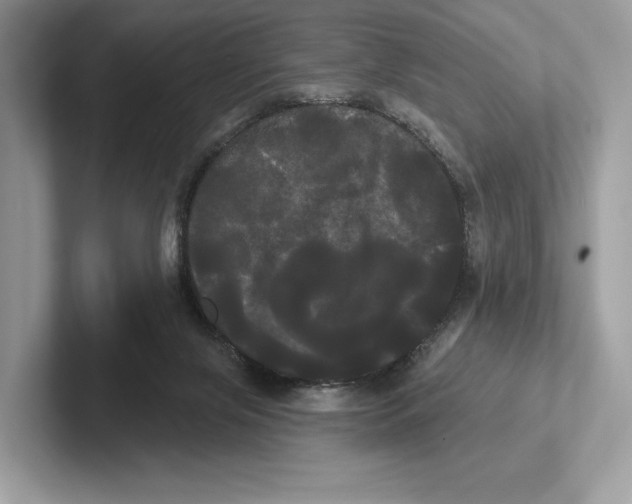 X0000100920071200807221125