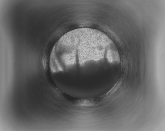 X0000100920074200807221125