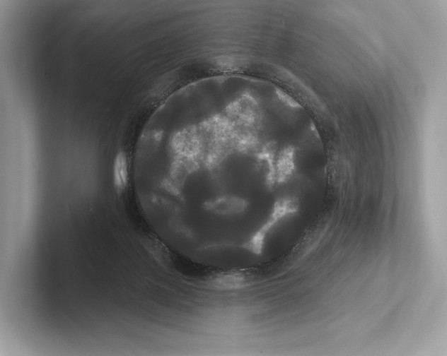 X0000100920075200807221125