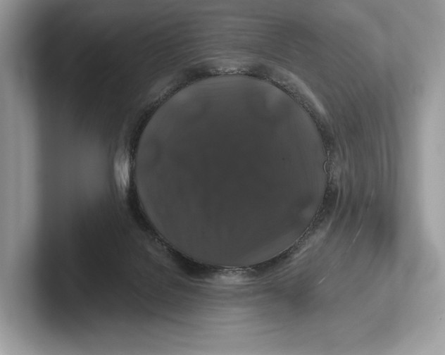 X0000100920076200807221125