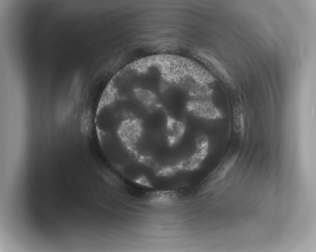 X0000100920077200807221125
