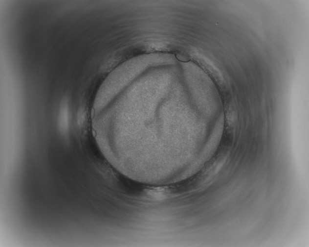 X0000100920079200807221125