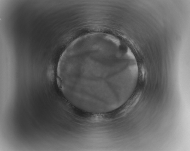 X0000100920080200807221125