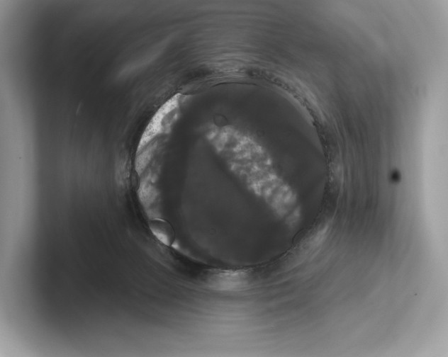 X0000100920081200807221125