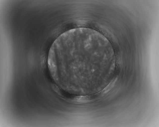 X0000100920082200807221125