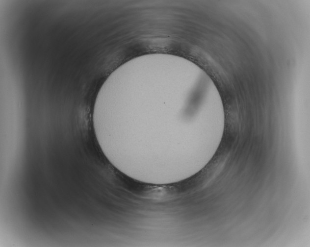 X0000100920083200807221125