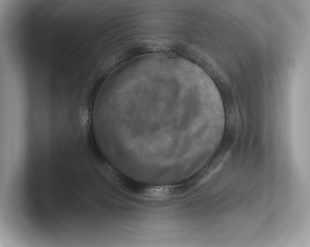 X0000100920084200807221125