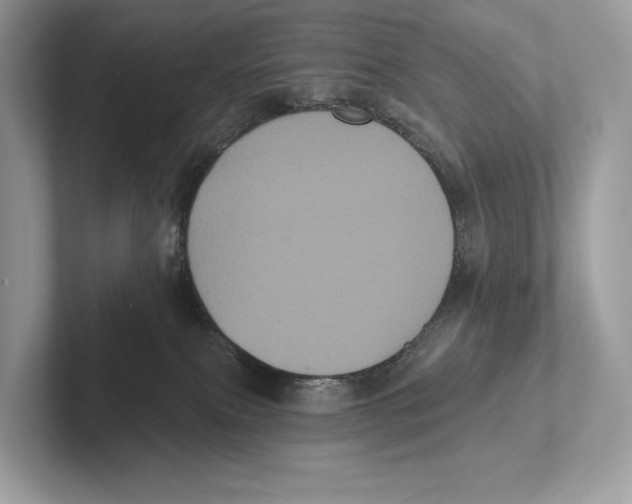X0000100920087200807221125