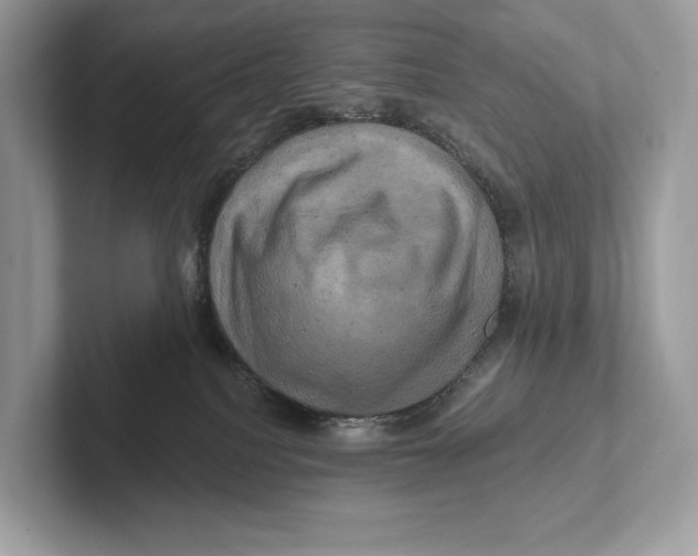 X0000100920088200807221125