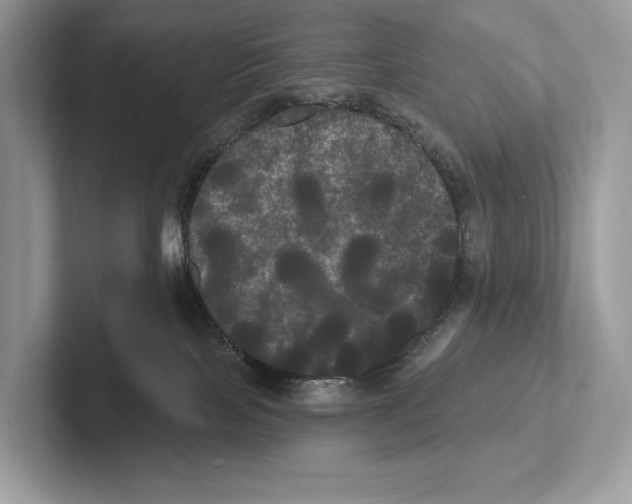 X0000100920089200807221125