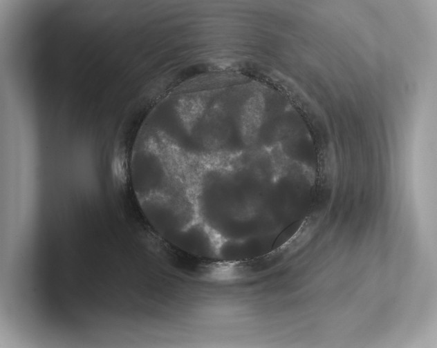 X0000100920090200807221125