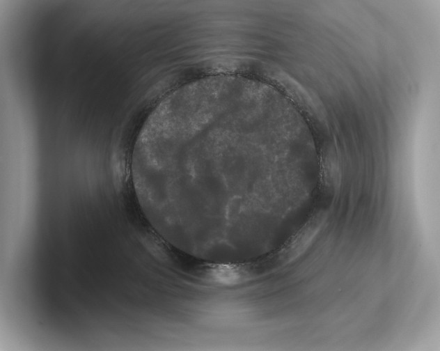 X0000100920091200807221125