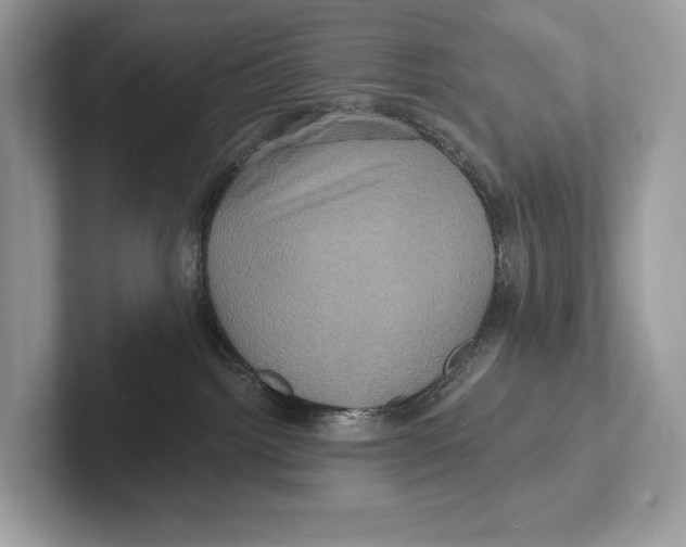 X0000100920092200807221125