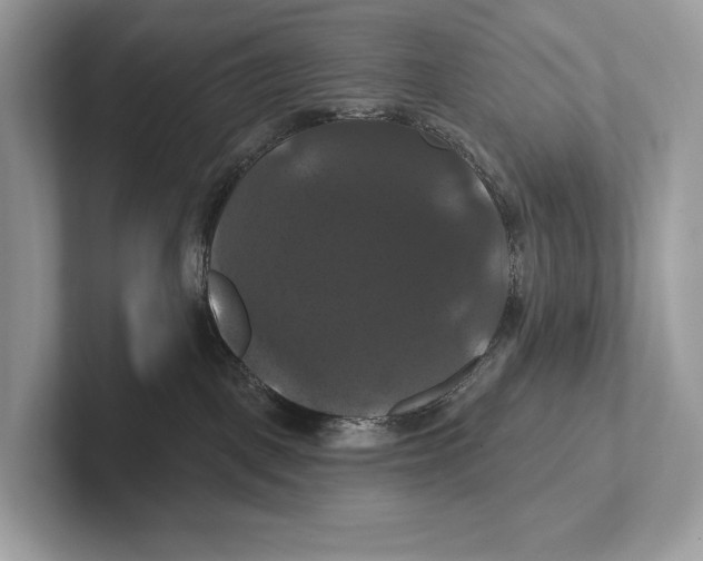 X0000100920093200807221125
